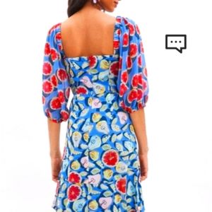 Fruit Print Midi Dress